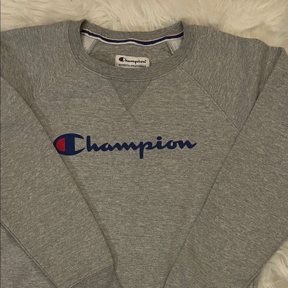 Champion Gray Sweater - Picture 2 of 4